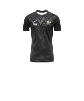 Nike Challenge V Trikot Kids Schwarz Weiss F010