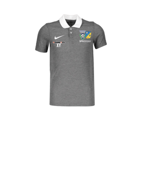 Nike Park 20 Poloshirt Kids Grau Weiss F071