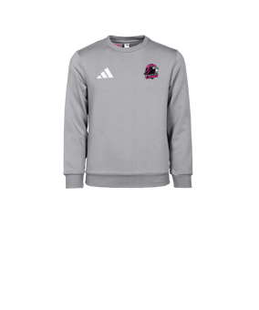adidas Entrada 26 Sweatshirt Kids Grau
