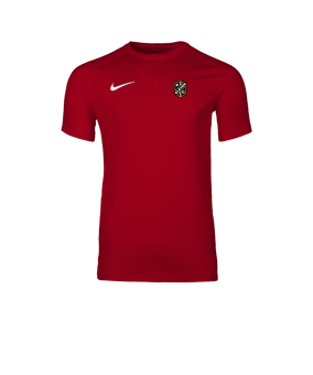 Nike Park VIII Trikot Rot F657