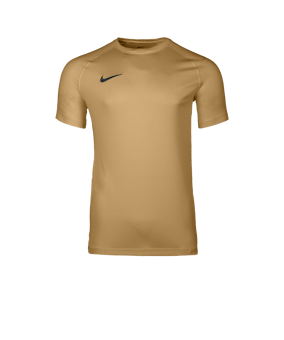 Nike Park VIII Trikot Gold F729