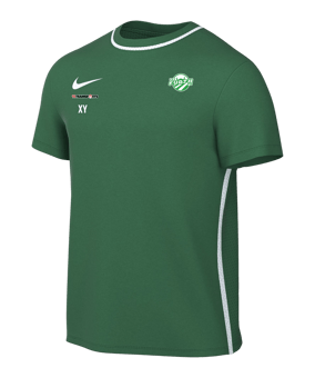 Nike Park 26 Trainingsshirt Kids Grün F302