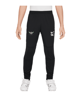Nike Park 20 Trainingshose Kids Schwarz F010