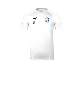 PUMA teamLIGA26 Trikot Kids Weiß F04