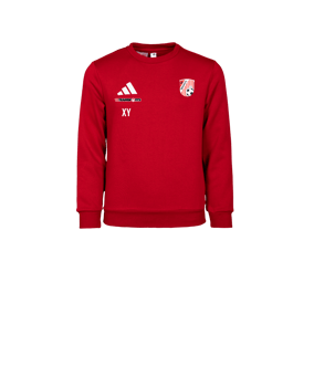 adidas Entrada 26 Sweatshirt Kids Rot