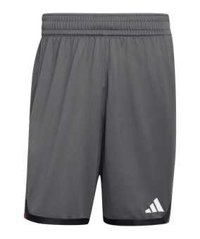 adidas DBB Deutschland Training Short Grau - grau