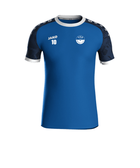 JAKO Iconic Trikot Kids Blau F414
