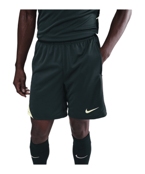 Nike Strike Short Grün F390 - gruen