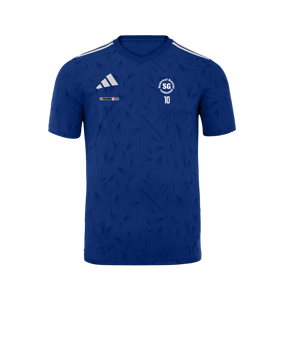 adidas Team Icon 25 Trikot Hellblau