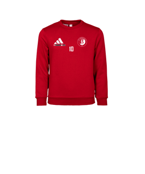 adidas Entrada 26 Sweatshirt Kids Rot