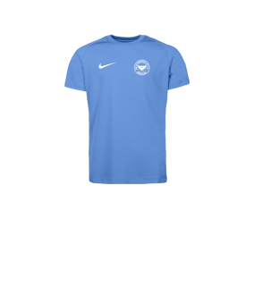 Nike Park VIII Trikot Kids Blau F412