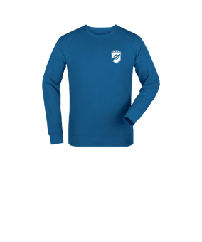 Merch Mini Changer 2.0 Sweatshirt Kids Royal Blue | #fussball