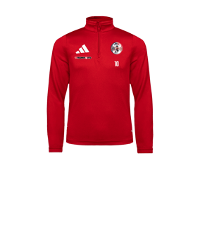 adidas Entrada 26 Training Sweatshirt Kids Rot