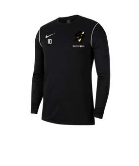 Nike Park 20 Training Sweatshirt Schwarz F010 