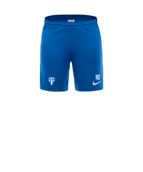 Nike Park III Court Bleu C463 