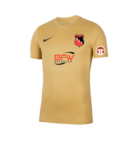 Nike Park VII Trikot kurzarm Gold F729