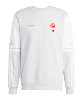 adidas Squadra 25 Sweatshirt Grau