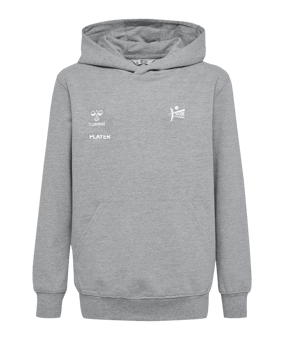 Hummel GO 2.0 Hoody Kids Grau F2006