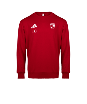 adidas Entrada 26 Sweatshirt Rot