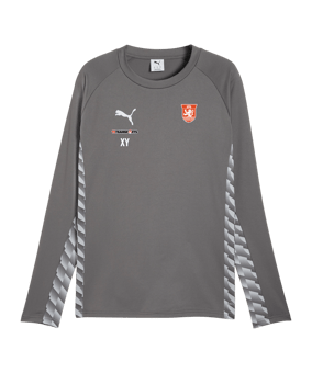 PUMA teamLIGA26 Training Sweatshirt Grau F13