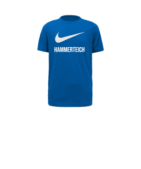 Nike Park 20 Swoosh T-Shirt Kids Blau Weiss F463