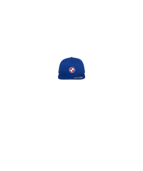 Merch 5 Panel Classic Snapback Cap Royal Green