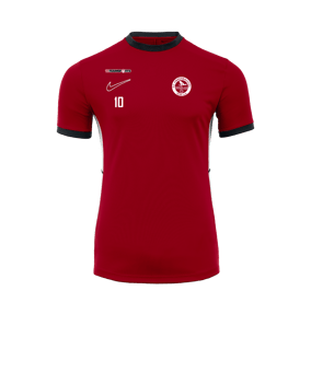 Nike Academy 25 Trainingsshirt Rot F657
