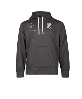 Nike Park 26 Hoody Grau F071