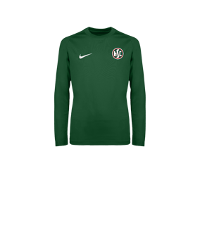 Nike Park VIII Trikot langarm Kids Grün F302