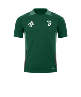 adidas Tiro 24 Competition Training Trikot Grün