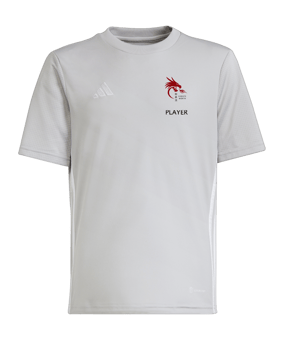 adidas Tabela 23 Trikot Kids Grau Weiss