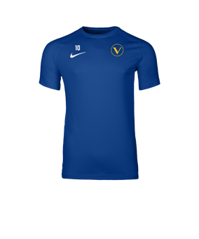 Nike Park VIII Trikot Blau F463