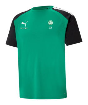 PUMA teamPacer Trikot Grün F05