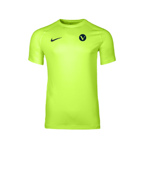 Nike Park VIII Trikot Grün F702