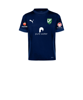 PUMA teamGOAL Matchday Trikot Kids Blau Weiss F06