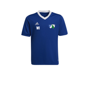 adidas Entrada 22 Trikot Kids Blau Weiss