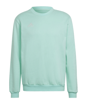 adidas Entrada 22 Sweatshirt Türkis - tuerkis