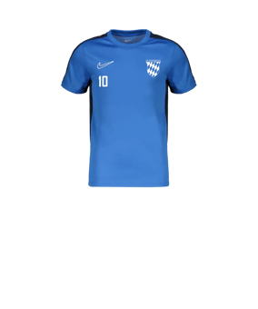 Nike Academy Trainingsshirt Kids Blau F463