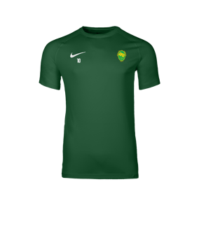 Nike Park VIII Maillot Vert C302