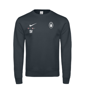 Nike Park 26 Sweatshirt Grau F071