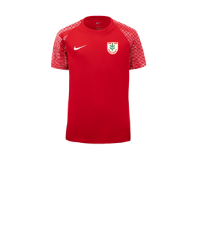 Nike Academy Trikot Kids Rot Weiss F657
