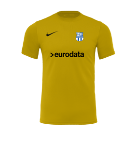 Nike Park VII Trikot kurzarm Gelb F719