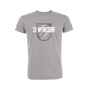 Merch Creator 2.0 T-Shirt Heather Grey FC250