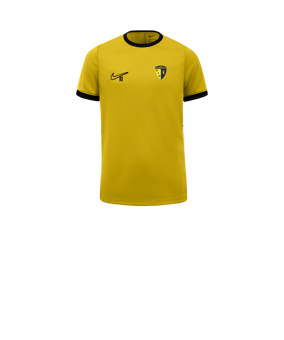 Nike Academy 25 Formation Enfants Jaune C719