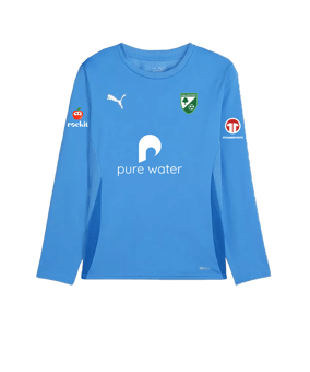 PUMA teamGOAL Trikot Langarm Blau Weiss F02