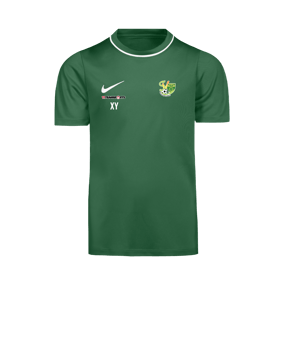 Nike Park 26 Trainingsshirt Kids Grün F302