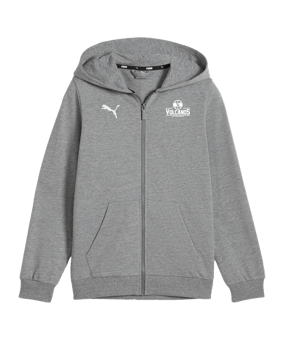 PUMA teamGOAL Casuals Kapuzenjacke Kids Grau F33