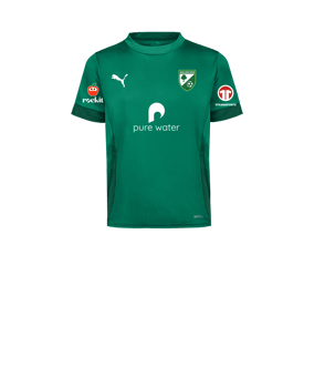 PUMA teamGOAL Matchday Trikot Kids Grün Weiss F05