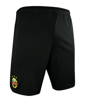PUMA SK Rapid Wien Trainingsshort Kids F03 - schwarz