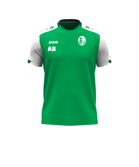 JAKO Dynamic T-Shirt Grün F204